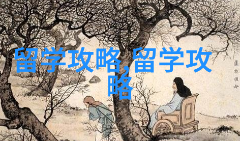 泰国留学归国待遇详解
