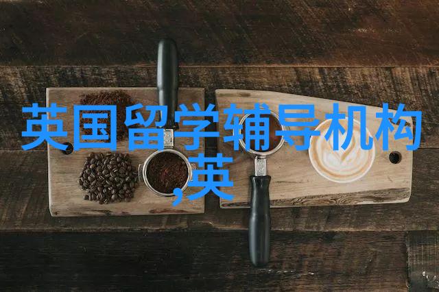 年省10万学费2025非凡英国奖学金计划正式启动