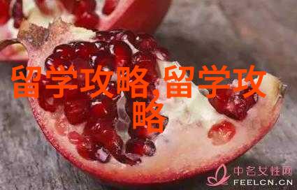 加拿大本科如何申请详解